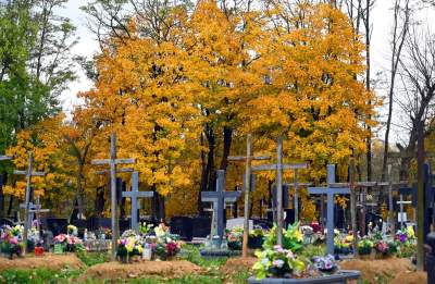 Krakowskie cmentarze: zabytkowe, nowoczesne, zaskakujące - zdjęcie 60