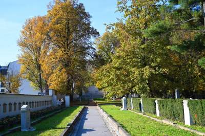 Krakowskie cmentarze: zabytkowe, nowoczesne, zaskakujące - zdjęcie 42