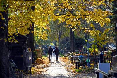 Krakowskie cmentarze: zabytkowe, nowoczesne, zaskakujące - zdjęcie 28
