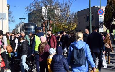 Krakowianie nie zawiedli, kwesta na Cmentarzu Rakowickim - zdjęcie 16