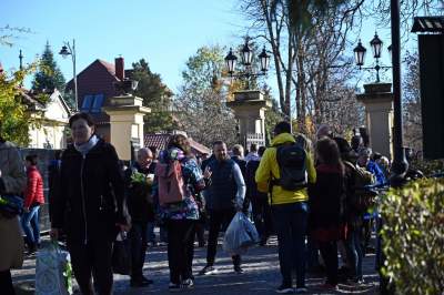 Krakowianie nie zawiedli, kwesta na Cmentarzu Rakowickim - zdjęcie 13