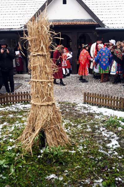 Osadzanie chochoła: ta krakowska tradycja nie ma nic wspólnego z ludowymi obrzędami - zdjęcie 24