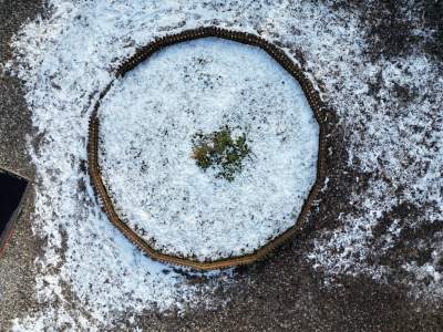 Osadzanie chochoła: ta krakowska tradycja nie ma nic wspólnego z ludowymi obrzędami - zdjęcie 2