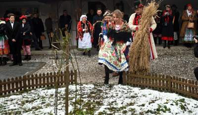 Osadzanie chochoła: ta krakowska tradycja nie ma nic wspólnego z ludowymi obrzędami - zdjęcie 16
