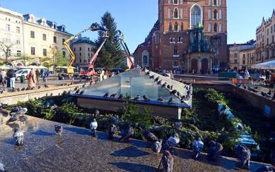 Choinka 2024 na Rynku Głównym. Operacja zakończona sukcesem - zdjęcie 19