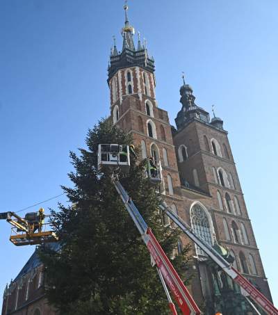 Choinka 2024 na Rynku Głównym. Operacja zakończona sukcesem - zdjęcie 6