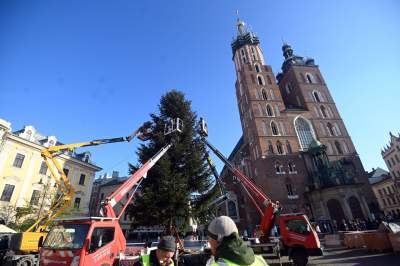 Choinka 2024 na Rynku Głównym. Operacja zakończona sukcesem - zdjęcie 18