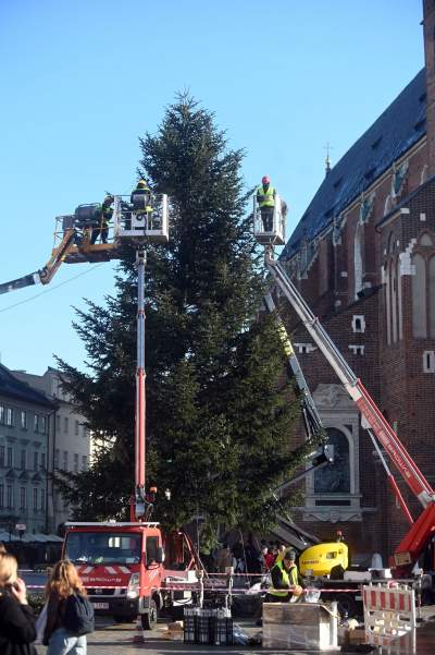 Choinka 2024 na Rynku Głównym. Operacja zakończona sukcesem - zdjęcie 14