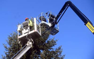 Choinka 2024 na Rynku Głównym. Operacja zakończona sukcesem - zdjęcie 11