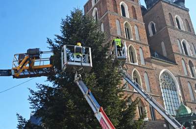 Choinka 2024 na Rynku Głównym. Operacja zakończona sukcesem - zdjęcie 17