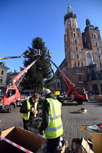 Choinka 2024 na Rynku Głównym. Operacja zakończona sukcesem - zdjęcie 20