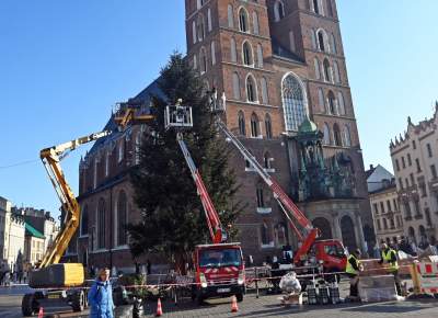 Choinka 2024 na Rynku Głównym. Operacja zakończona sukcesem - zdjęcie 15