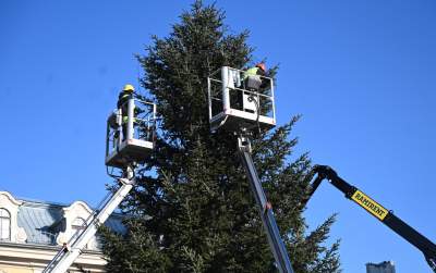 Choinka 2024 na Rynku Głównym. Operacja zakończona sukcesem - zdjęcie 4