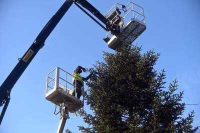 Choinka 2024 na Rynku Głównym. Operacja zakończona sukcesem - zdjęcie 10