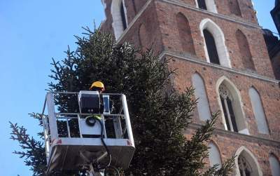 Choinka 2024 na Rynku Głównym. Operacja zakończona sukcesem - zdjęcie 8