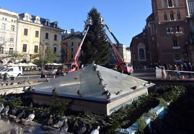 Choinka 2024 na Rynku Głównym. Operacja zakończona sukcesem - zdjęcie 7