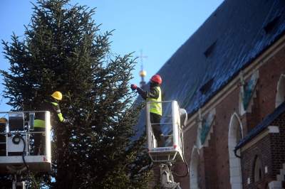 Choinka 2024 na Rynku Głównym. Operacja zakończona sukcesem - zdjęcie 16