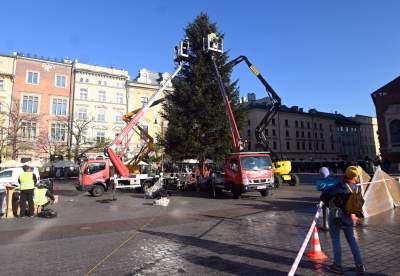 Choinka 2024 na Rynku Głównym. Operacja zakończona sukcesem - zdjęcie 5