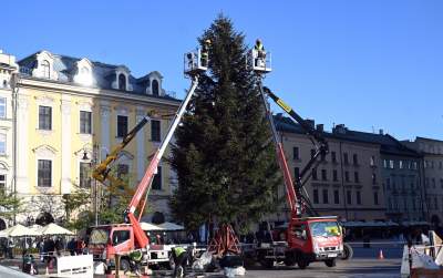 Choinka 2024 na Rynku Głównym. Operacja zakończona sukcesem - zdjęcie 1