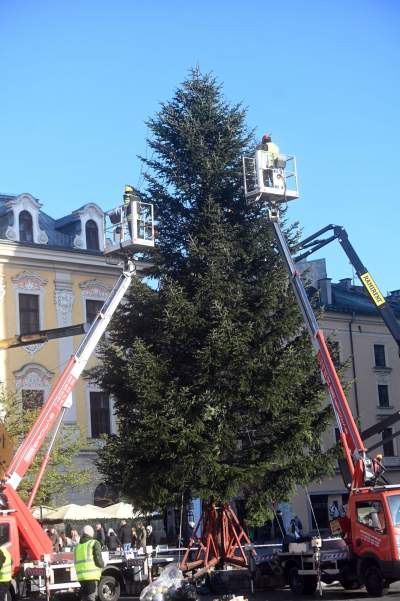 Choinka 2024 na Rynku Głównym. Operacja zakończona sukcesem - zdjęcie 12