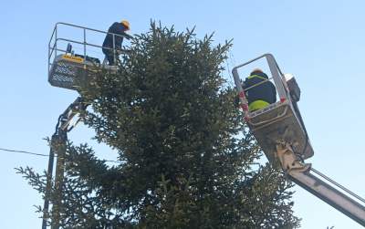 Choinka 2024 na Rynku Głównym. Operacja zakończona sukcesem - zdjęcie 9