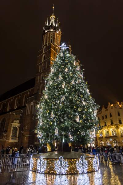 Piękny czas w Krakowie, choinka na Rynku Głównym w pełnym blasku - zdjęcie 18