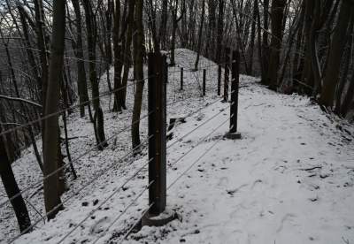 Zimowy spacer w Kamieniołomie Libana, dzięki temu ma być bezpieczniej - zdjęcie 3
