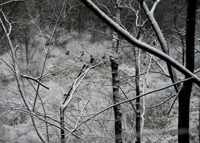 Zimowy spacer w Kamieniołomie Libana, dzięki temu ma być bezpieczniej - zdjęcie 8