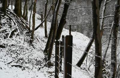 Zimowy spacer w Kamieniołomie Libana, dzięki temu ma być bezpieczniej - zdjęcie 4
