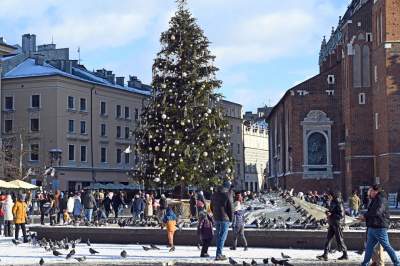 Trochę zimowy poranek w Krakowie. Dzień dobry! - zdjęcie 12