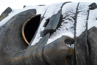 Trochę zimowy poranek w Krakowie. Dzień dobry! - zdjęcie 18