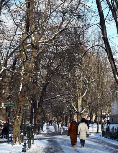 Trochę zimowy poranek w Krakowie. Dzień dobry! - zdjęcie 20