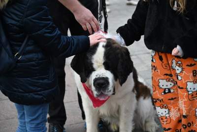 Pięknie zagraliśmy w Krakowie. Jak zawsze Anna Dymna w akcji - zdjęcie 3