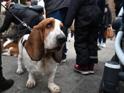 Pięknie zagraliśmy w Krakowie. Jak zawsze Anna Dymna w akcji - zdjęcie 11