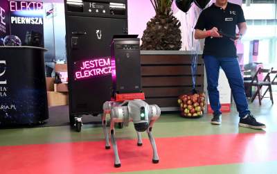 Taka sytuacja podczas zawodów w Tauron Arenie, święto jeździectwa w Krakowie - zdjęcie 22