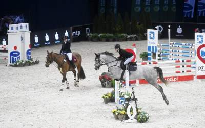 Taka sytuacja podczas zawodów w Tauron Arenie, święto jeździectwa w Krakowie - zdjęcie 9