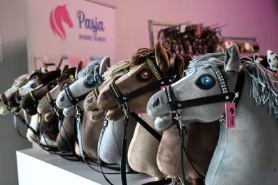 Taka sytuacja podczas zawodów w Tauron Arenie, święto jeździectwa w Krakowie - zdjęcie 23