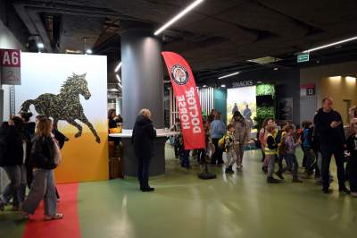 Taka sytuacja podczas zawodów w Tauron Arenie, święto jeździectwa w Krakowie - zdjęcie 21