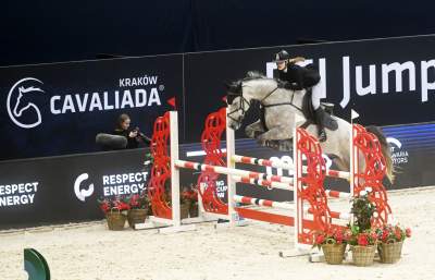 Taka sytuacja podczas zawodów w Tauron Arenie, święto jeździectwa w Krakowie - zdjęcie 11