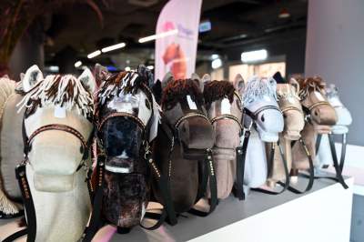 Taka sytuacja podczas zawodów w Tauron Arenie, święto jeździectwa w Krakowie - zdjęcie 27