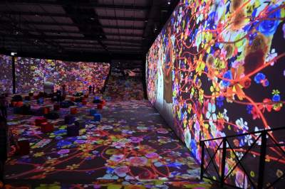 Frida Kahlo w Krakowie,  działająca na zmysły kapitalna wystawa - zdjęcie 26