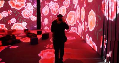 Frida Kahlo w Krakowie,  działająca na zmysły kapitalna wystawa - zdjęcie 34