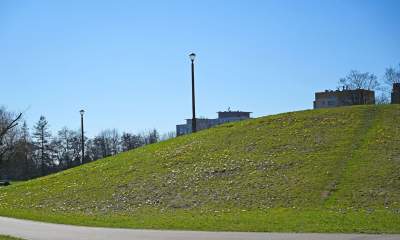 W Krakowie najładniejsze krokusy są na górce w parku Krowoderskim - zdjęcie 26