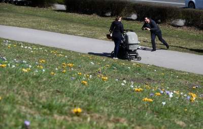 W Krakowie najładniejsze krokusy są na górce w parku Krowoderskim - zdjęcie 10