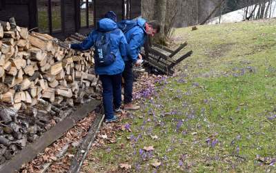 Wiosna w Gorcach, płazy szaleją... - zdjęcie 19