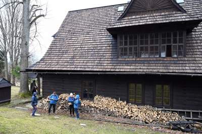 Wiosna w Gorcach, płazy szaleją... - zdjęcie 16