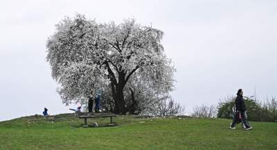 Gdzie się wybrać na spacer w Krakowie? Oto nasze ulubione miejsce - zdjęcie 7