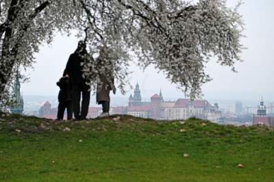Gdzie się wybrać na spacer w Krakowie? Oto nasze ulubione miejsce - zdjęcie 14