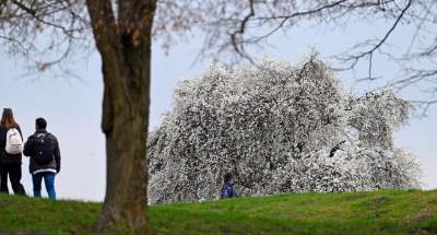 Gdzie się wybrać na spacer w Krakowie? Oto nasze ulubione miejsce - zdjęcie 18