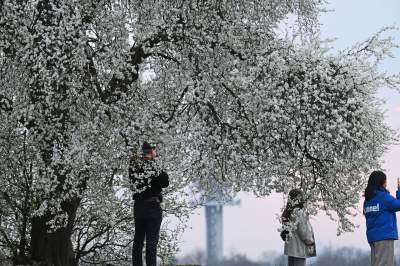 Gdzie się wybrać na spacer w Krakowie? Oto nasze ulubione miejsce - zdjęcie 13